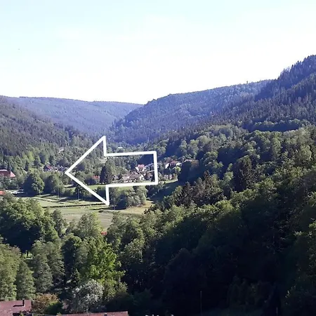 Appartamento Relax Bad Wildbad Esterno foto